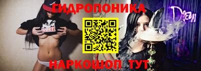 крисы Коммунар
