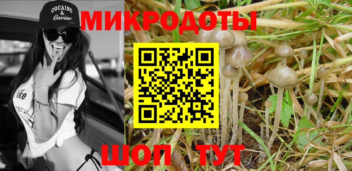 Галлюциногенные грибы GOLDEN TEACHER  Вход с VPN  Кстово 