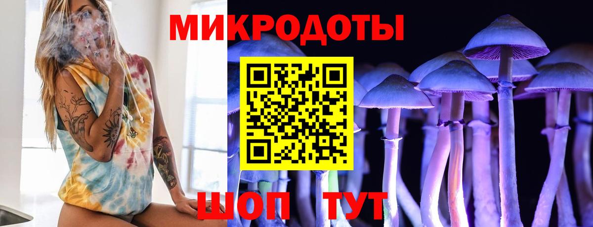 Галлюциногенные грибы Psilocybe Кстово
