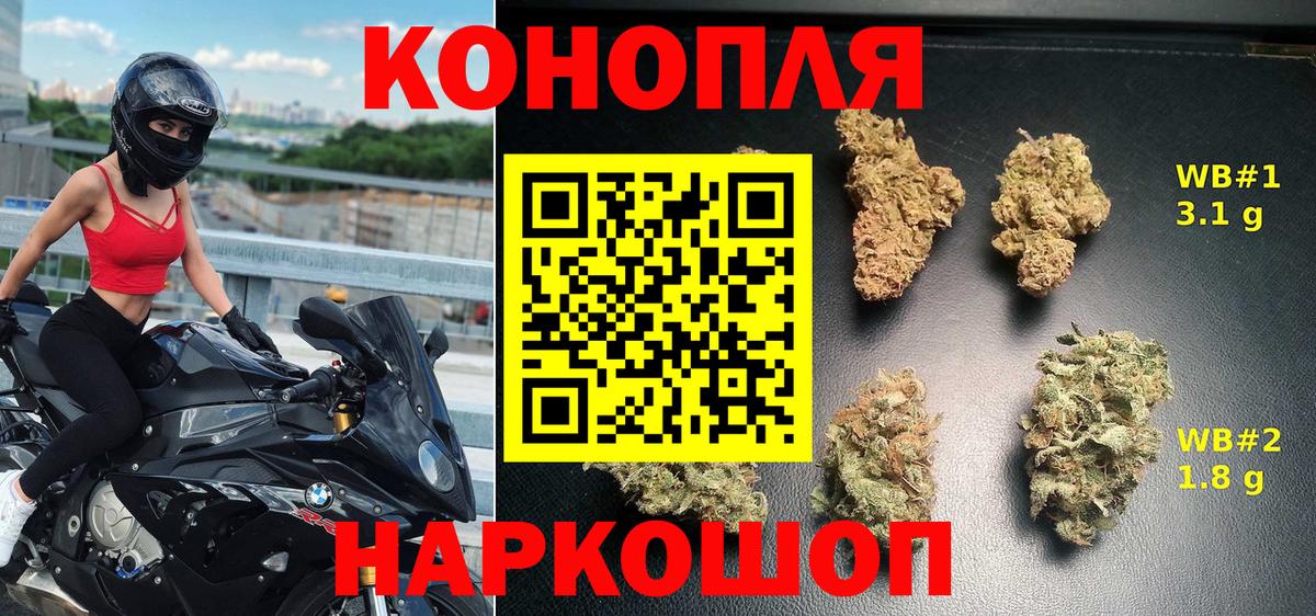 Канабис OG Kush Кстово