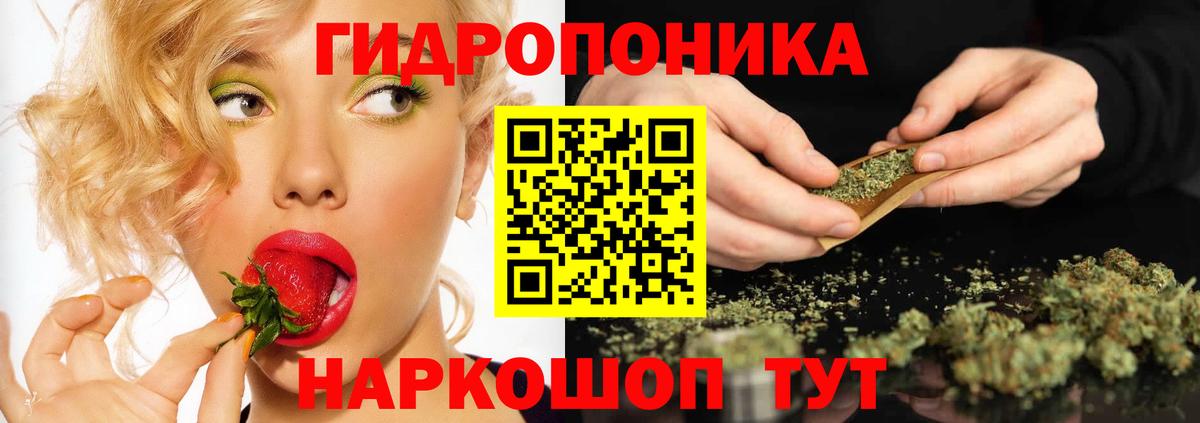 Марихуана планчик  Бошки Шишки ГИДРОПОН  Каннабис гибрид  Шишки марихуана Amnesia  Кстово  Вход с VPN 